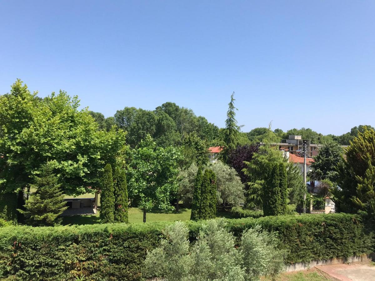 Dimeli 1 Lägenhet Plaka Litochorou Exteriör bild