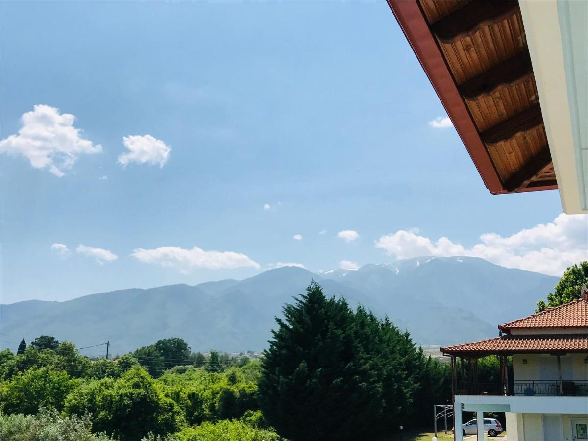 Dimeli 1 Lägenhet Plaka Litochorou Exteriör bild