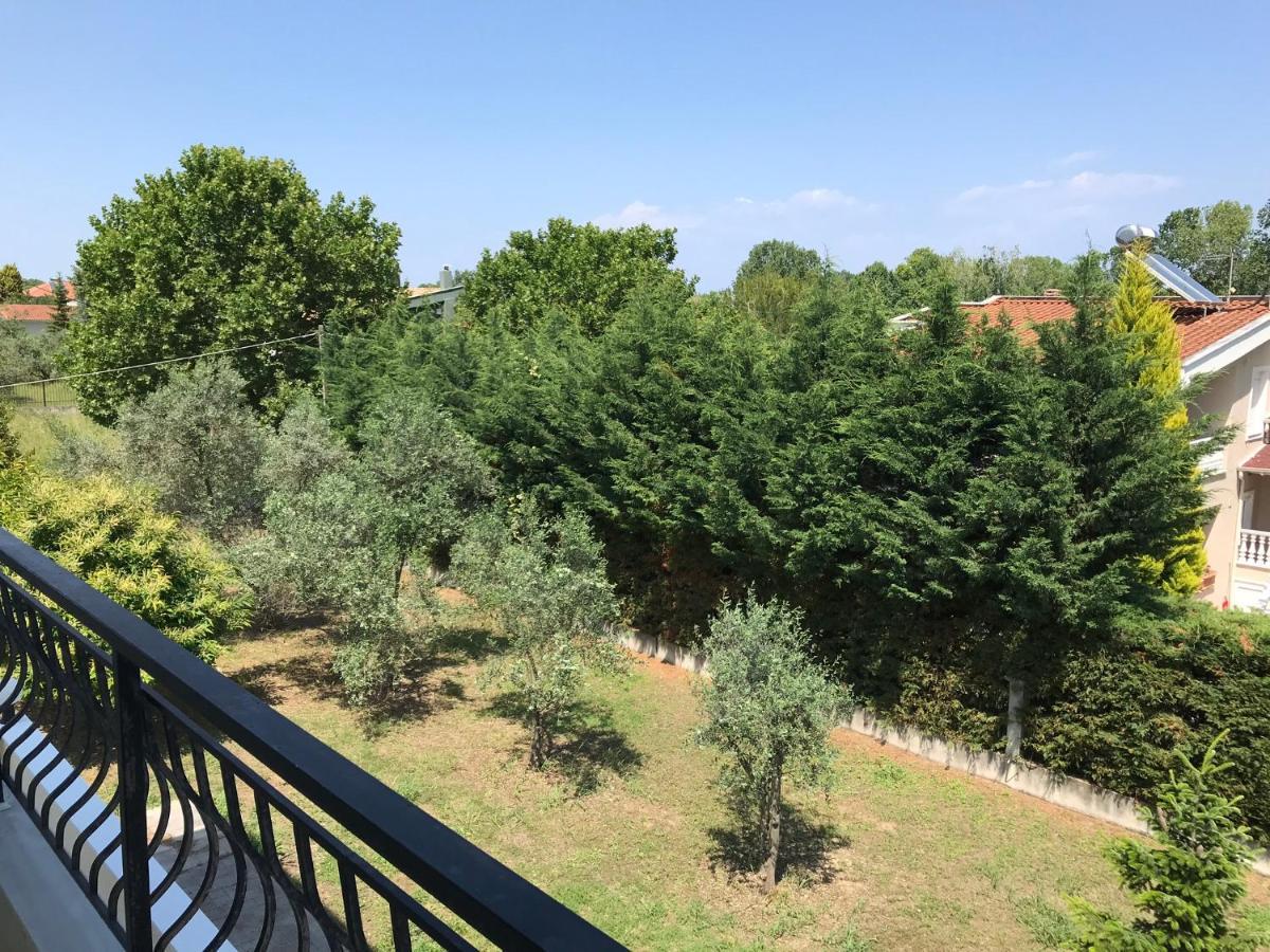 Dimeli 1 Lägenhet Plaka Litochorou Exteriör bild